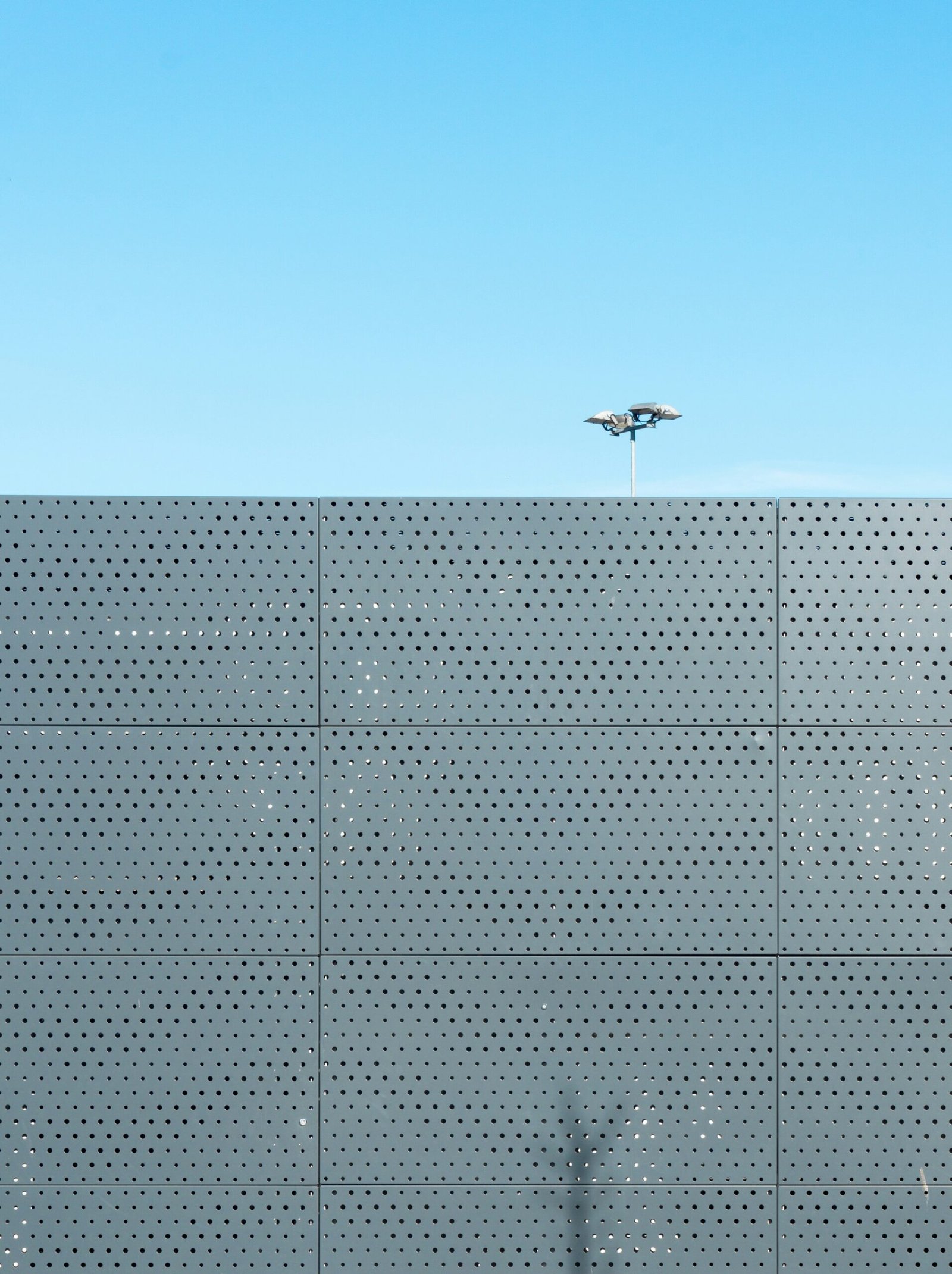 white bird flying over gray building during daytime